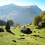 Chiebrendli By Interhome Lejlighed Grindelwald