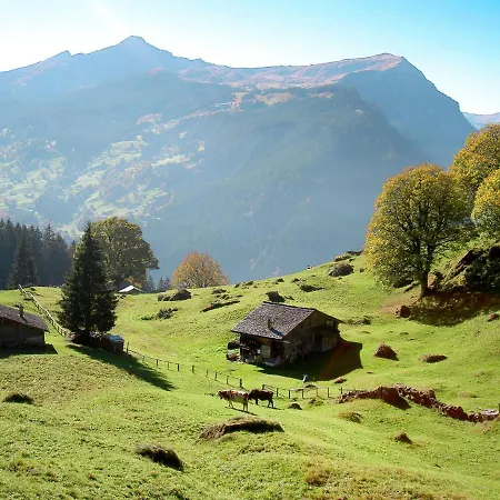 Chiebrendli By Interhome Apartament Grindelwald