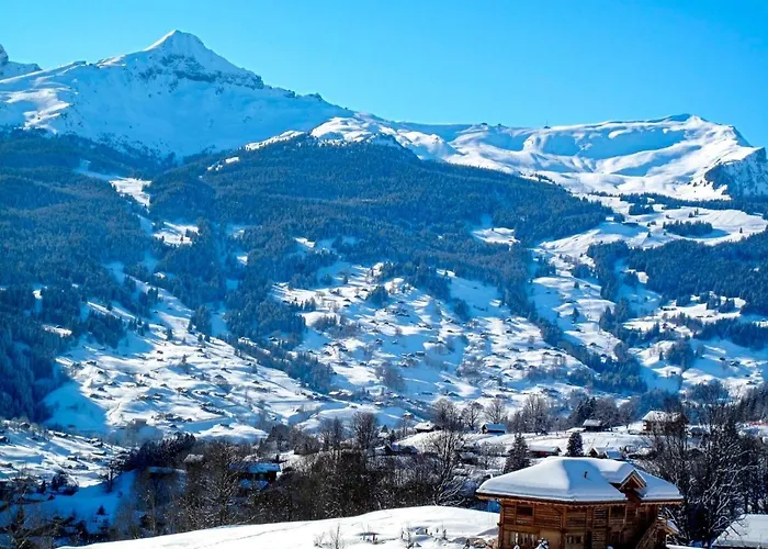 Appartement Chiebrendli By Interhome Grindelwald